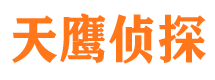 井研市调查公司